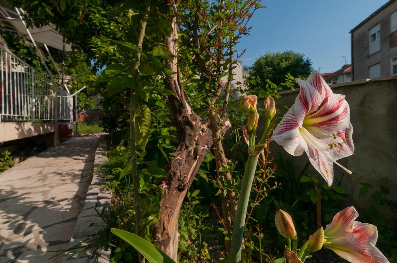 Apartment Vedrana Σπλιτ Εξωτερικό φωτογραφία